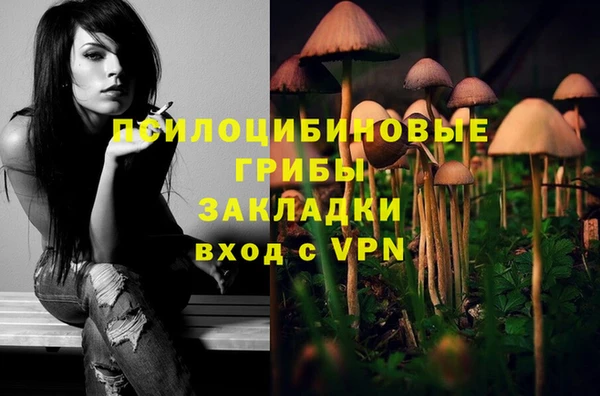 2c-b Балабаново